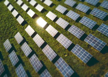 Green Grids Initiative — One Sun, One World, One Grid - Renewable energy